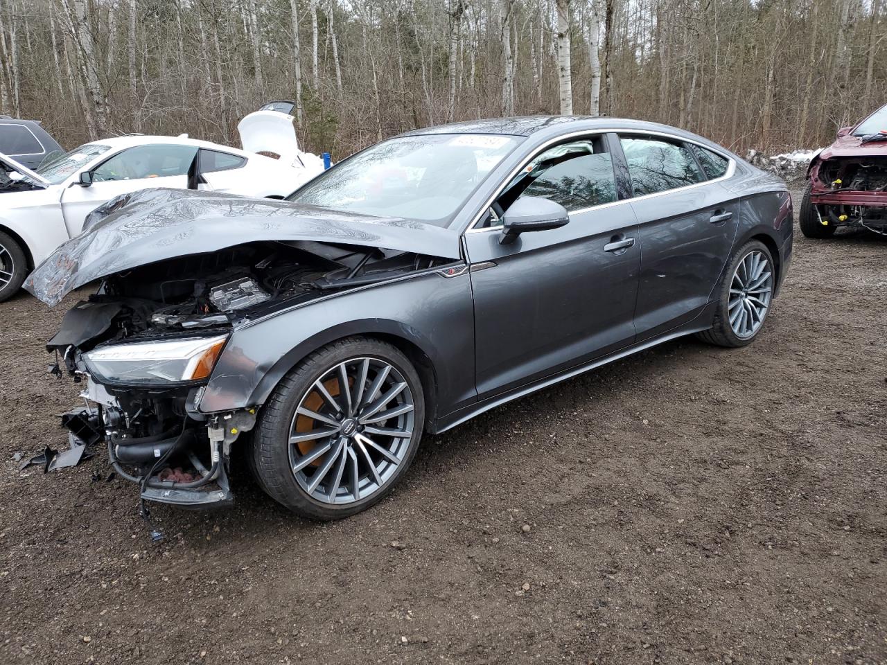 AUDI A5 2020 waueacf56ma016207