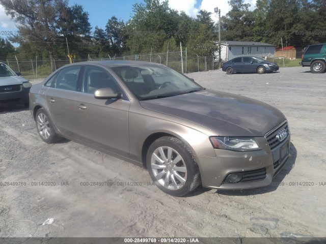 AUDI A4 2010 wauefafl0an045176