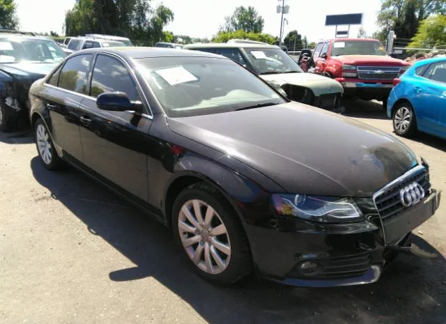 AUDI A4 2011 wauefafl0bn032543