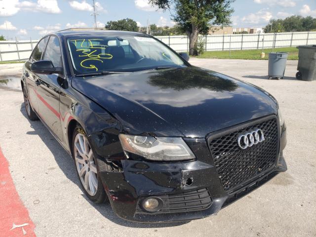 AUDI A4 PREMIUM 2010 wauefafl1an013210