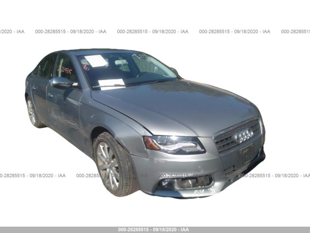 AUDI A4 2011 wauefafl1bn054714