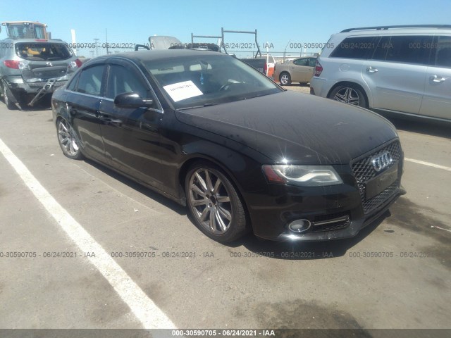 AUDI A4 2010 wauefafl2an014902