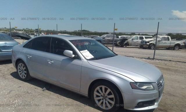 AUDI A4 2010 wauefafl2an024930