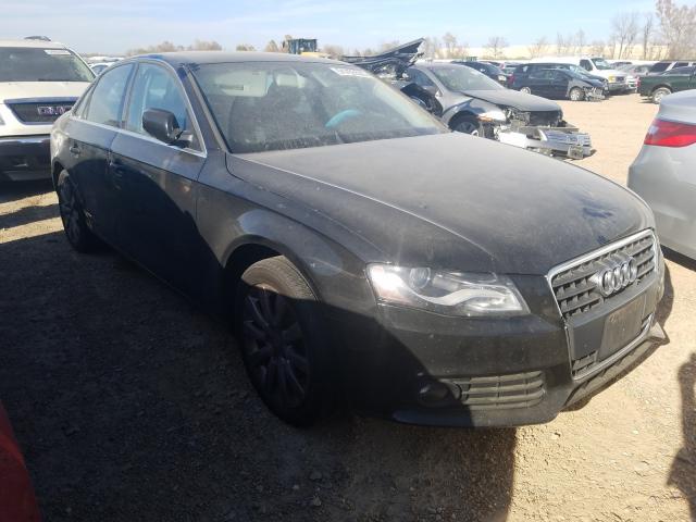 AUDI NULL 2010 wauefafl2an046457