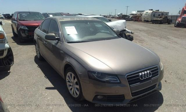 AUDI A4 2010 wauefafl2an048158