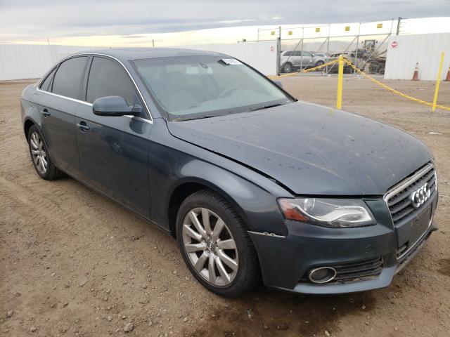 AUDI A4 PREMIUM 2010 wauefafl3an011457