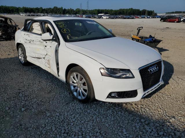 AUDI A4 PREMIUM 2010 wauefafl3an025715