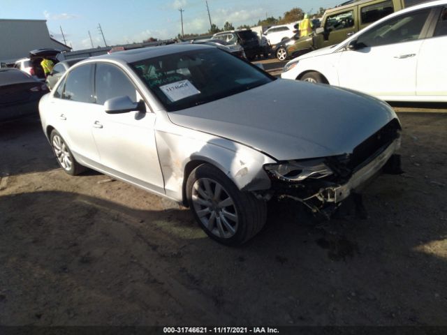 AUDI A4 2009 wauefafl3an025746