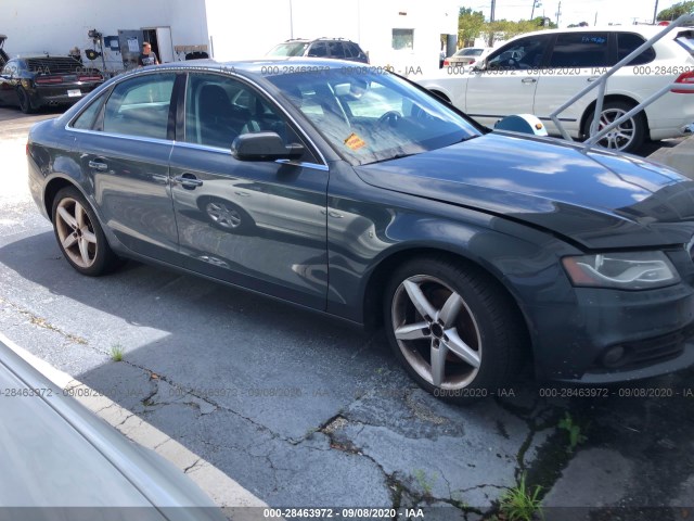 AUDI A4 2010 wauefafl3an034575