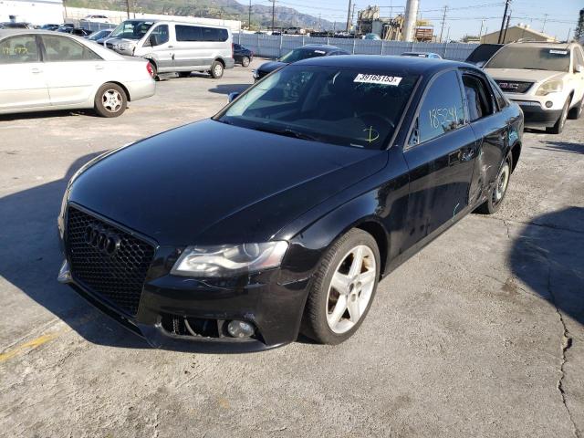 AUDI A4 PREMIUM 2010 wauefafl3an036133