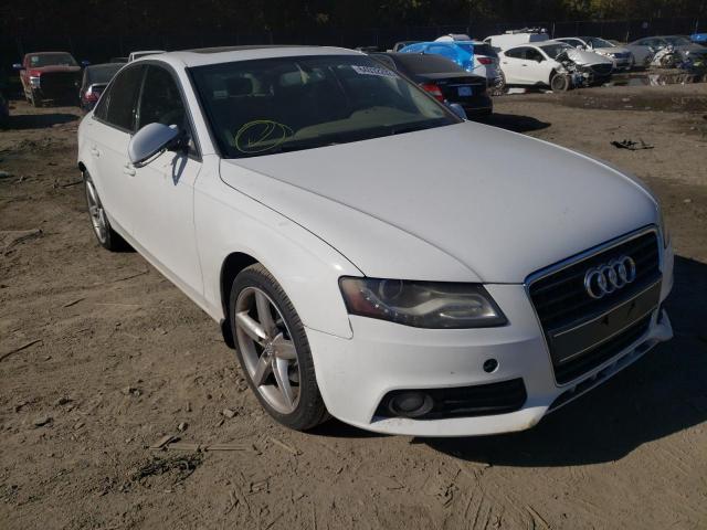 AUDI A4 PREMIUM 2010 wauefafl3an036200