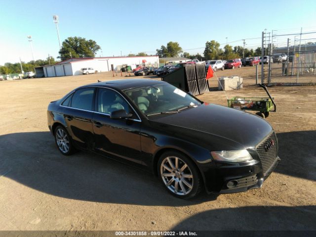 AUDI A4 2010 wauefafl4an040689