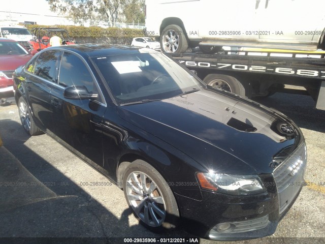 AUDI A4 2010 wauefafl4an049389