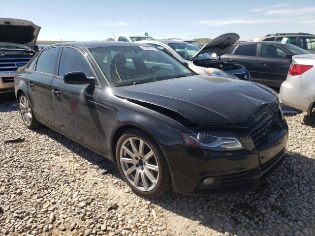 AUDI A4 PREMIUM 2011 wauefafl4bn057008