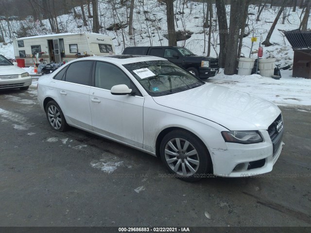 AUDI A4 2010 wauefafl5an011637