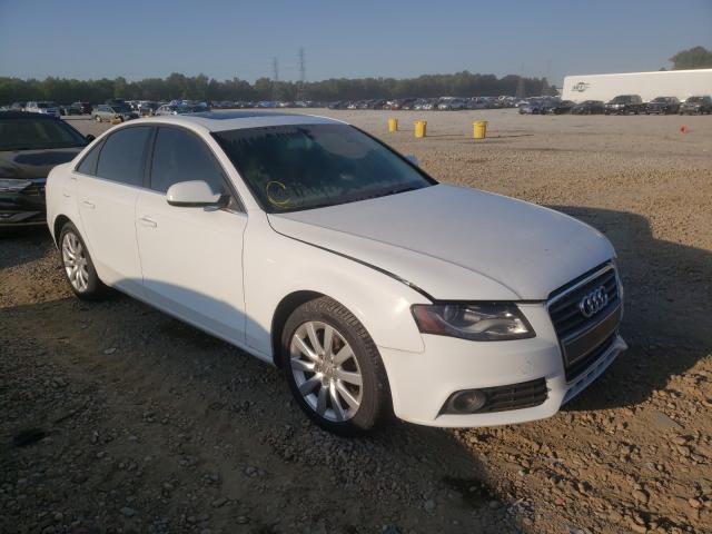 AUDI A4 PREMIUM 2010 wauefafl5an011640