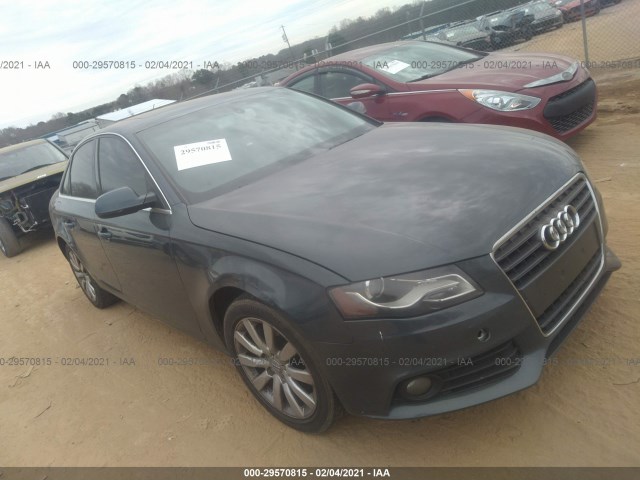 AUDI A4 2010 wauefafl5an024954