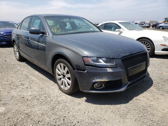 AUDI A4 PREMIUM 2010 wauefafl5an030785