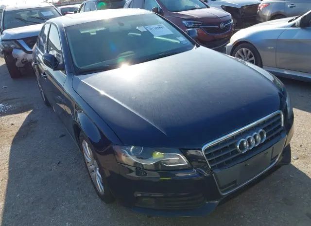 AUDI A4 2010 wauefafl5an031418