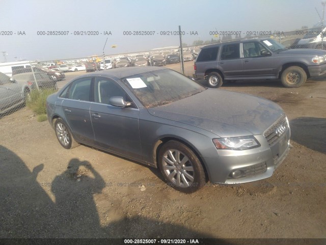 AUDI A4 2010 wauefafl5an032696