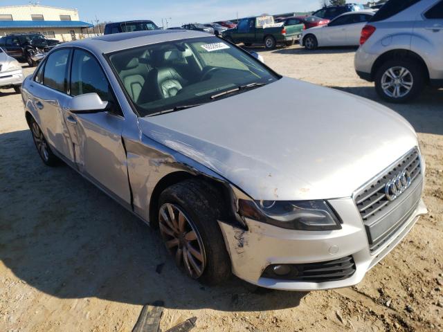 AUDI A4 PREMIUM 2010 wauefafl6an005247