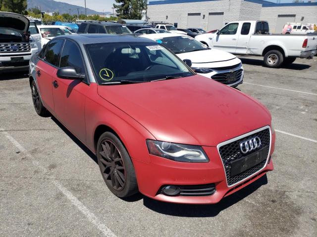 AUDI A4 PREMIUM 2010 wauefafl6an006690