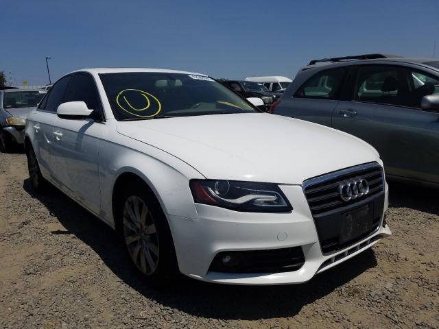 AUDI A4 PREMIUM 2010 wauefafl6an030035