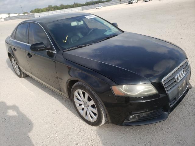 AUDI A4 PREMIUM 2010 wauefafl6an046011