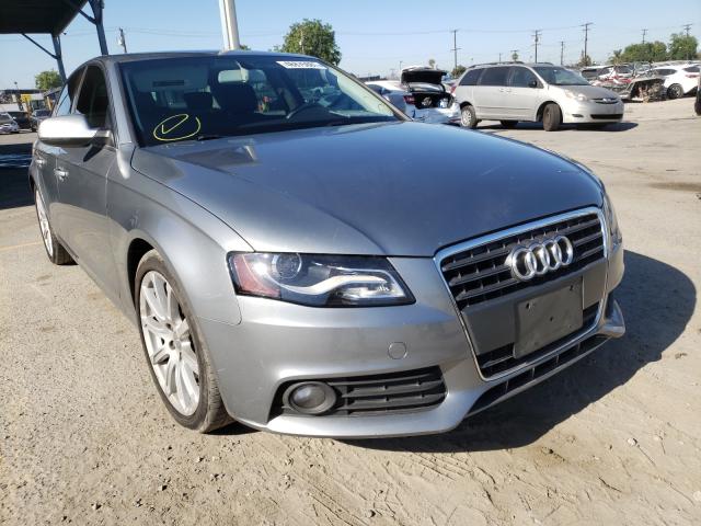 AUDI A4 PREMIUM 2010 wauefafl7an012529