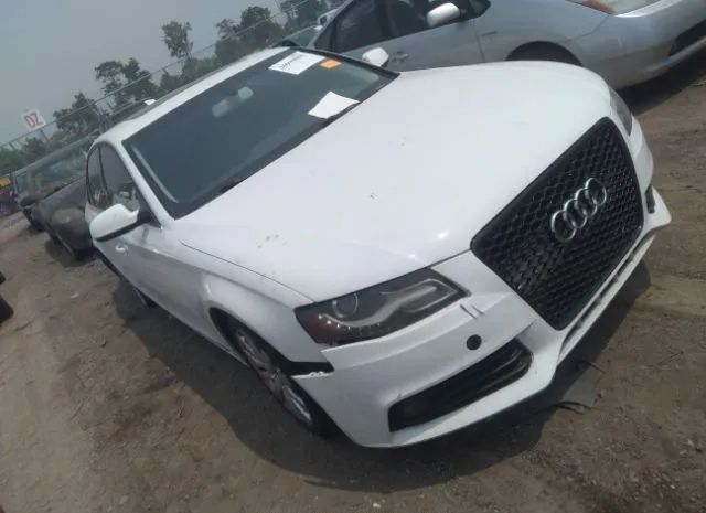 AUDI A4 2010 wauefafl7an014698