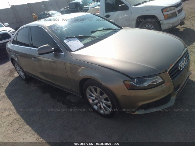 AUDI A4 2010 wauefafl7an048561