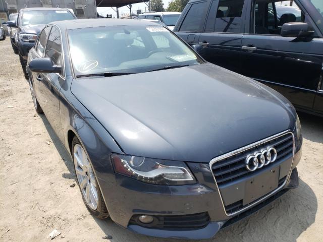 AUDI A4 PREMIUM 2010 wauefafl7an058670