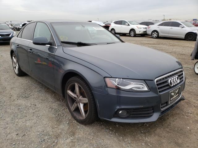 AUDI A4 PREMIUM 2011 wauefafl7bn002486