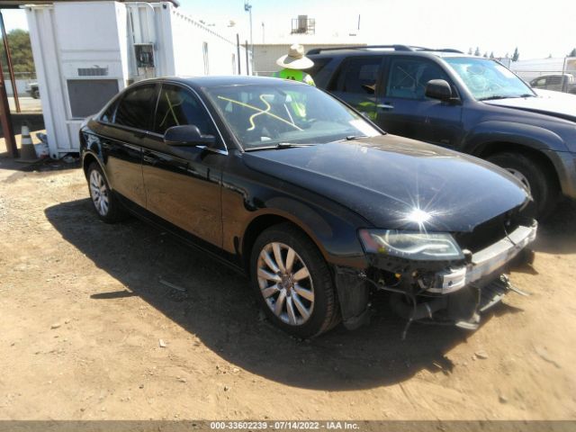 AUDI A4 2010 wauefafl8an032529