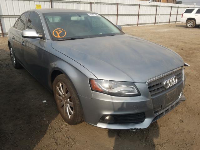 AUDI NULL 2010 wauefafl8an053039