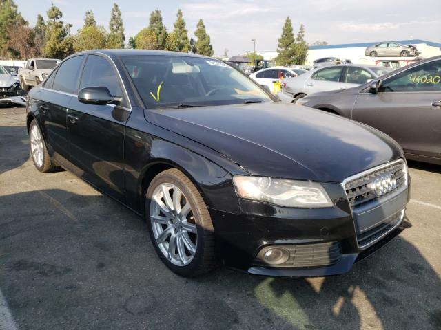 AUDI NULL 2010 wauefafl8an059021