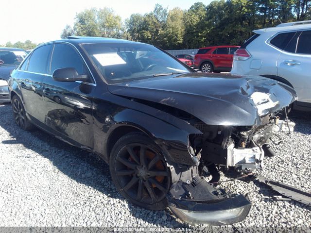 AUDI A4 2013 wauefafl8dn042868