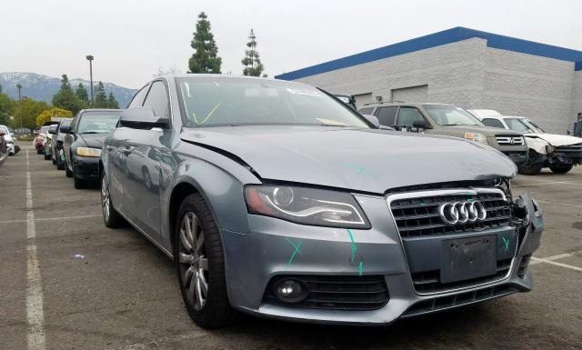 AUDI A4 2010 wauefafl9an011382