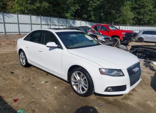 AUDI A4 2010 wauefafl9an014525