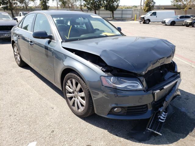 AUDI A4 PREMIUM 2010 wauefafl9an024908