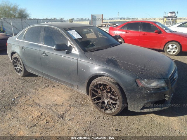 AUDI A4 2010 wauefafl9an029557