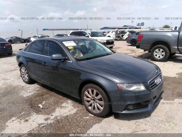 AUDI A4 2010 wauefafl9an034239