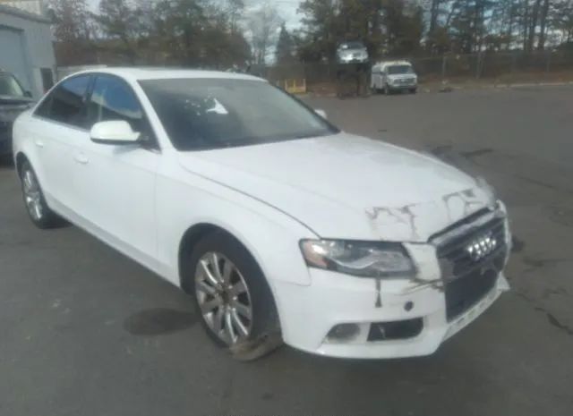 AUDI A4 2010 wauefafl9an049162