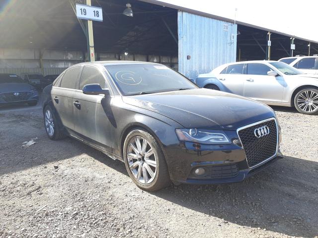 AUDI A4 PREMIUM 2011 wauefafl9bn039426