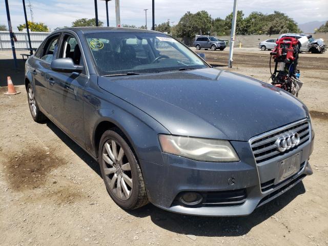 AUDI A4 PREMIUM 2010 wauefaflxan046464