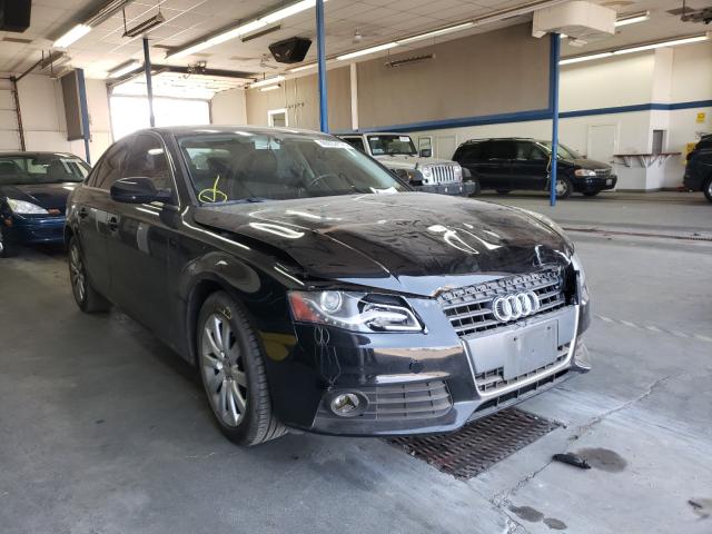 AUDI A4 PREMIUM 2010 wauefaflxan047730