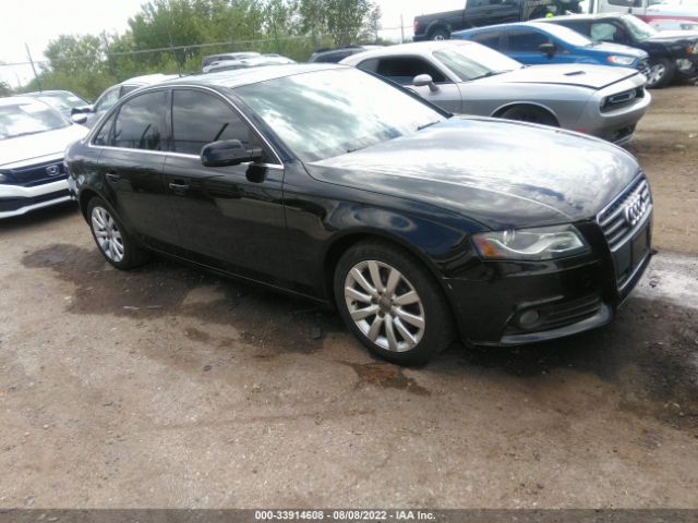 AUDI A4 2010 wauefaflxan070604