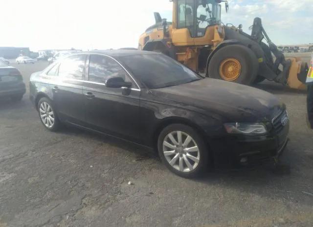 AUDI A4 2011 wauefaflxbn013899