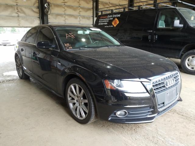 AUDI A4 PREMIUM 2012 wauefaflxca119410