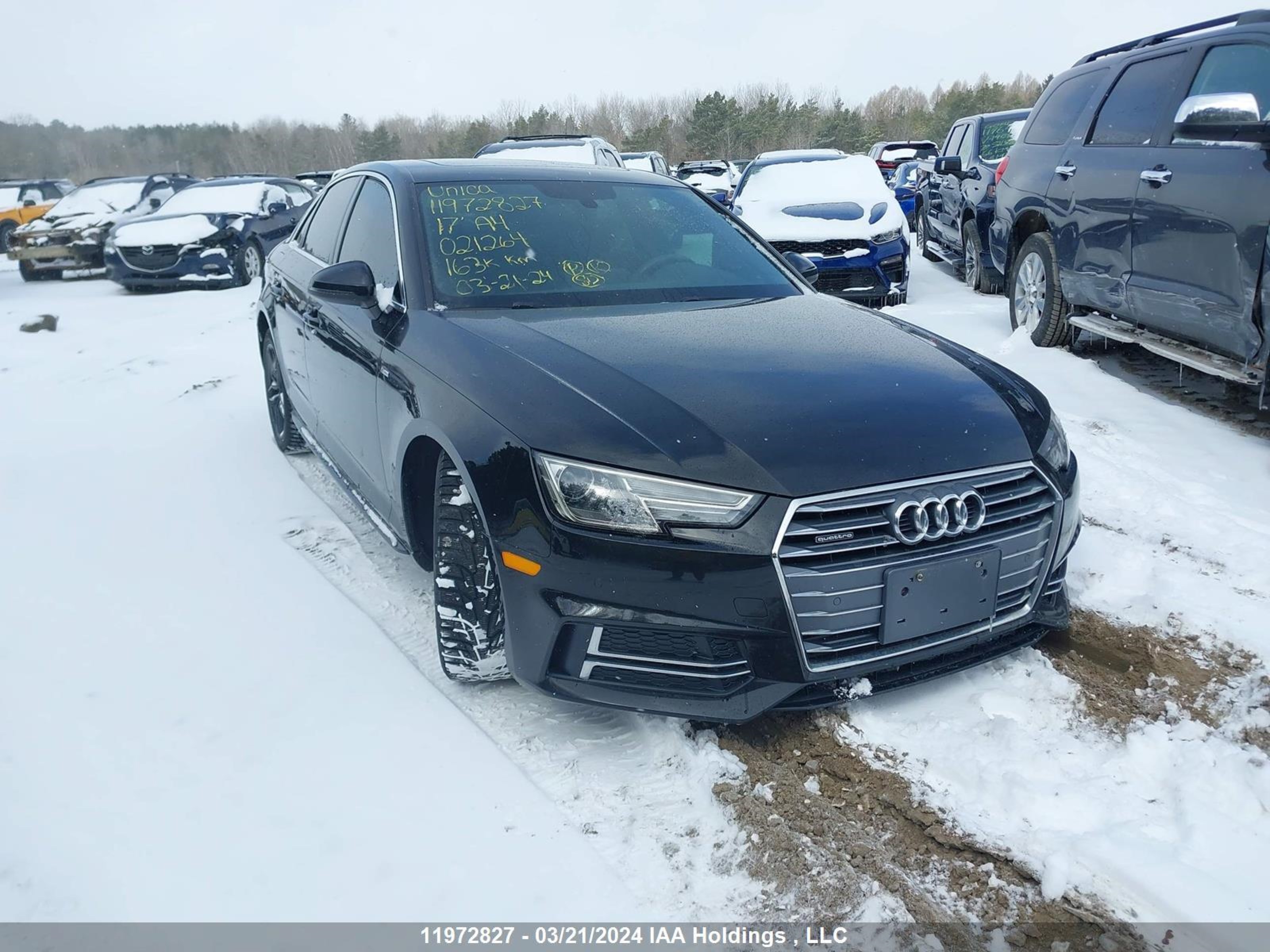 AUDI A4 2017 wauenaf41hn021264